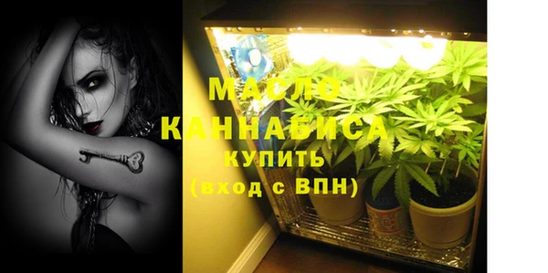 индика Коряжма