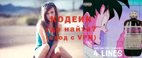 индика Коряжма
