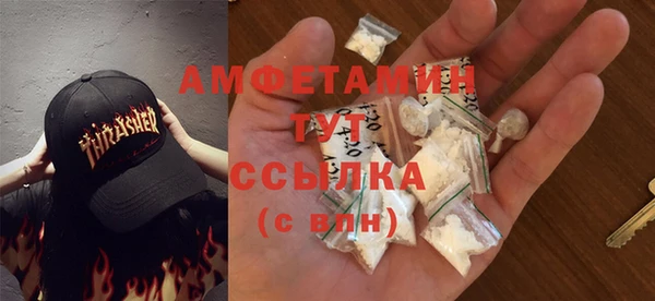 сатива Козельск