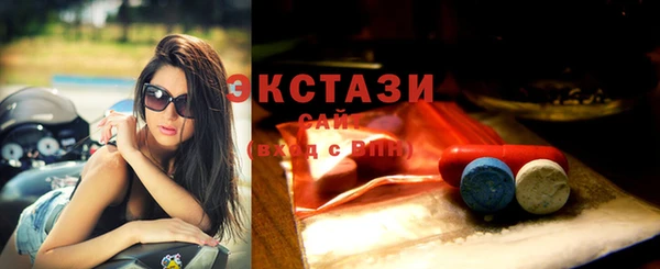 индика Коряжма