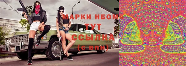 индика Коряжма