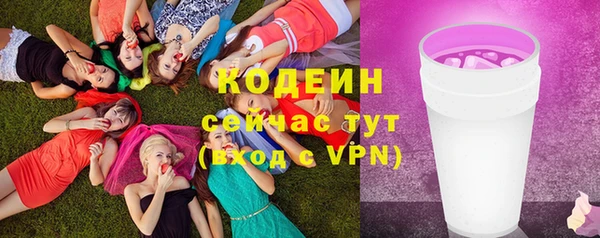 гашик Костерёво