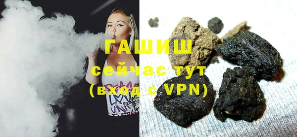 индика Коряжма