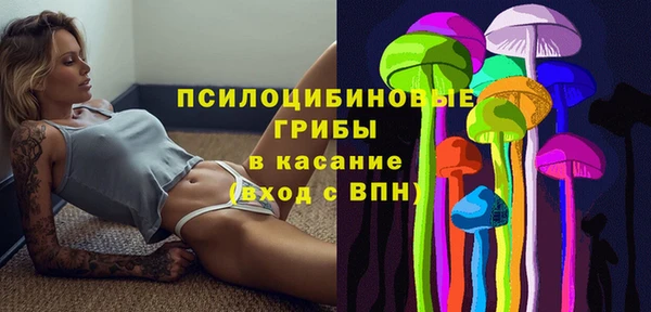 сатива Козельск