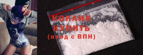 индика Коряжма